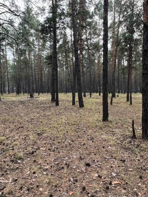 земля г Якутск городской округ Якутск, Покровский тракт, 13 километр фото 4