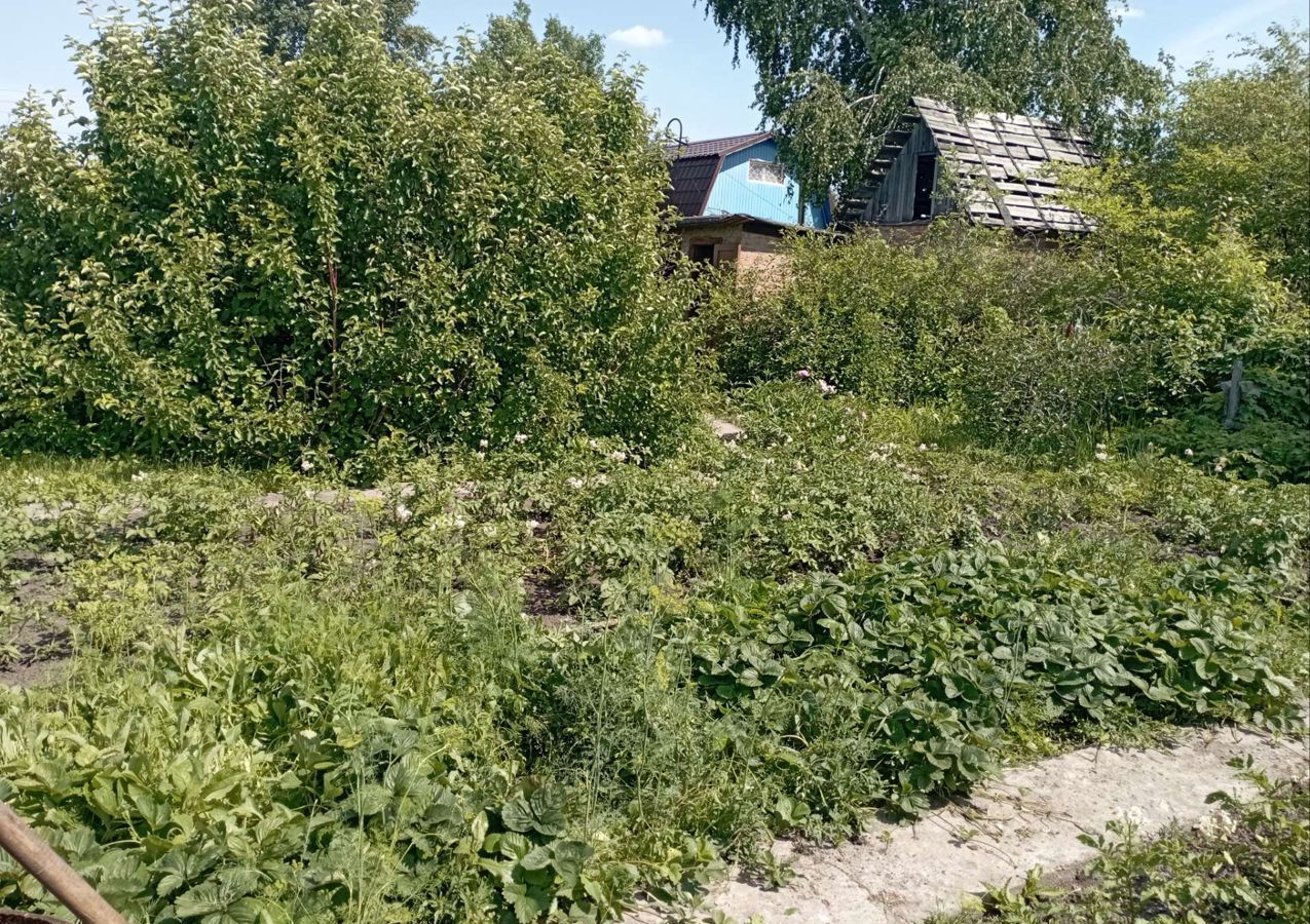 дом г Омск р-н Октябрьский территория СОСН Сибирский Садовод-4, 12-я аллея фото 5