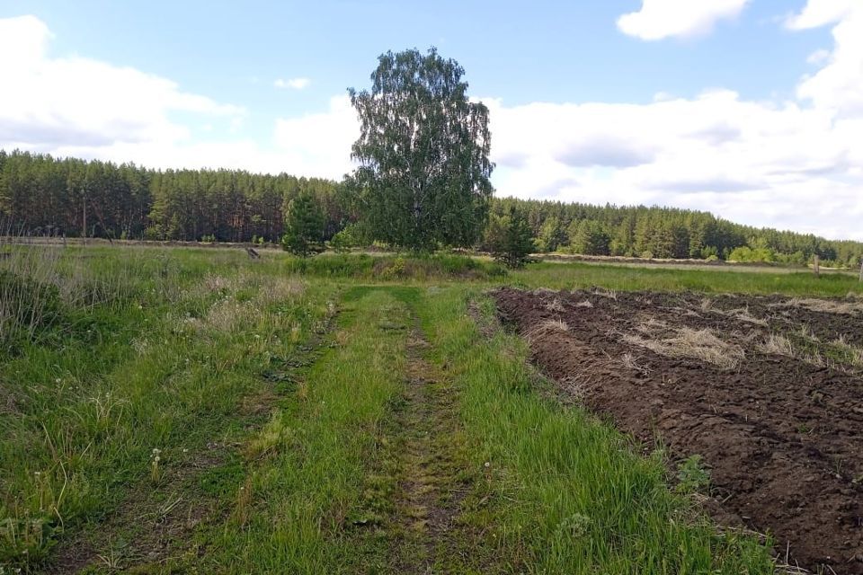 земля р-н Сысертский с Аверино улица Первый Коммунар, 2 фото 1