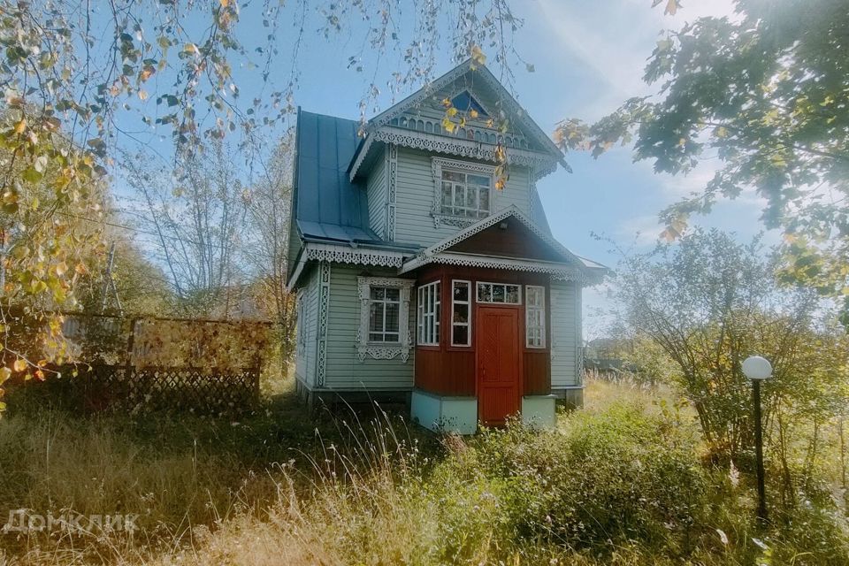 дом р-н Александровский деревня Свинкино фото 5