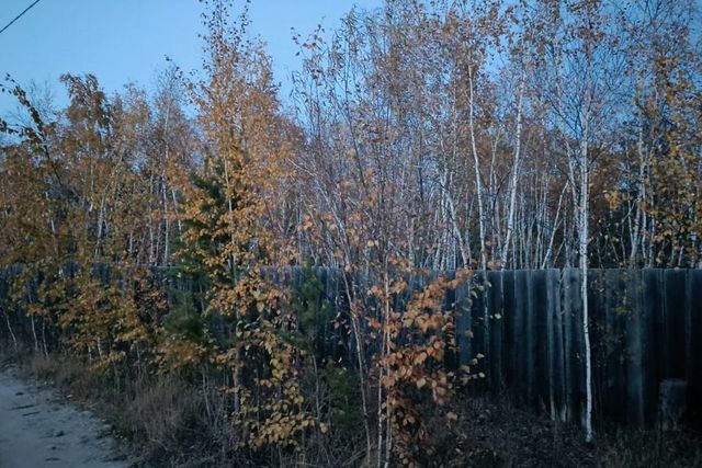 земля городской округ Якутск, садово-огородническое товарищество Борисовское фото