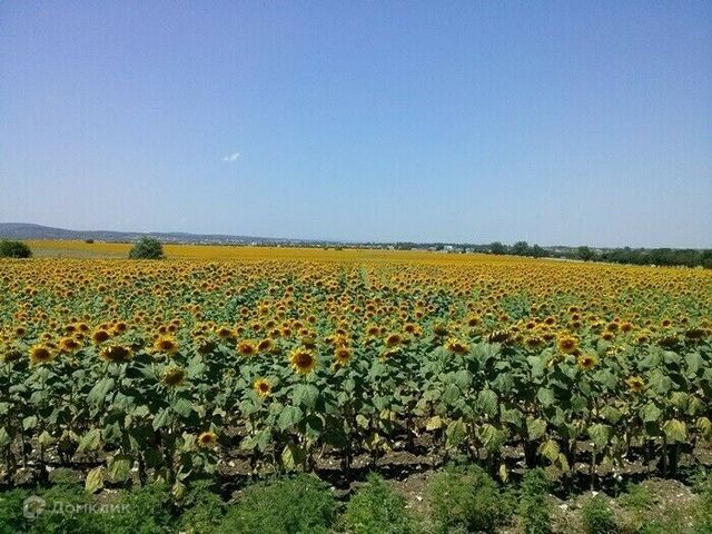 село Светлогорское фото