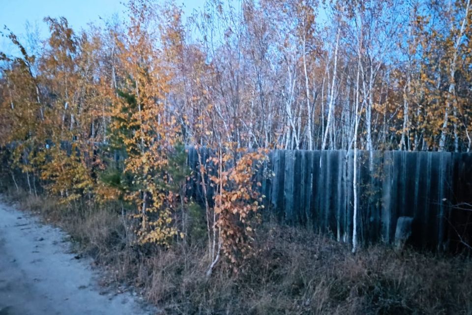 земля г Якутск городской округ Якутск, садово-огородническое товарищество Борисовское фото 2