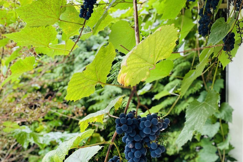 дом г Калининград пер Ганзейский 18 городской округ Калининград фото 7