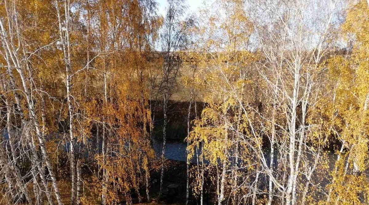 комната г Тюмень р-н Калининский ул Буковая 33 фото 9