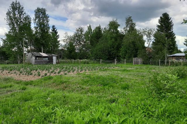 садоводческое товарищество Можайское фото