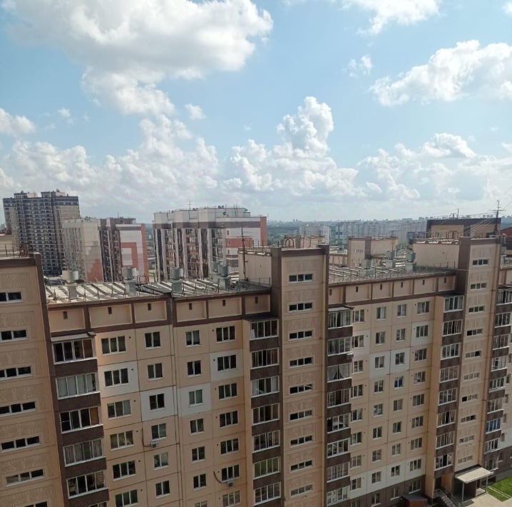 квартира г Новосибирск Заельцовская пр-кт Красный 307 фото 15