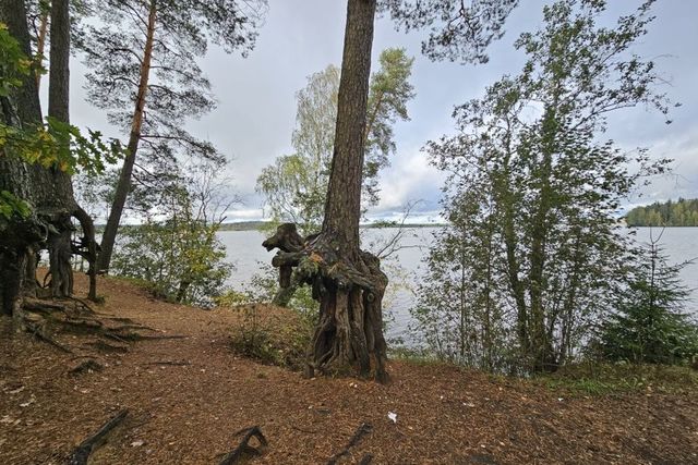 городской посёлок Токсово, Пляжная улица, 5 фото