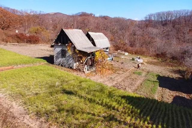 садовое некоммерческое товарищество Лебединое фото