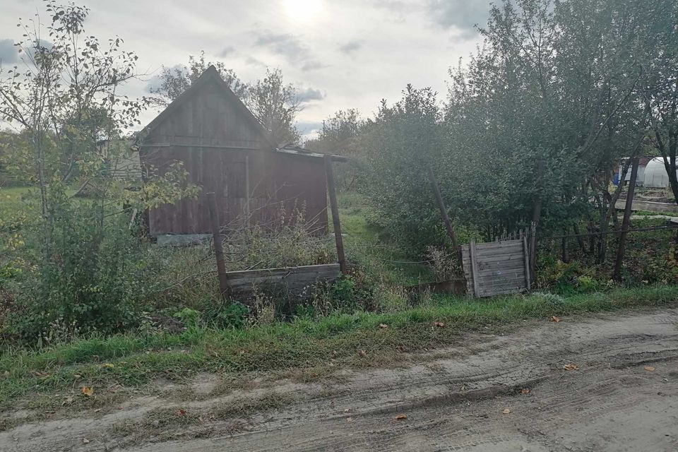 земля г Октябрьский городской округ Октябрьский, садоводческое некоммерческое товарищество Росинка фото 5