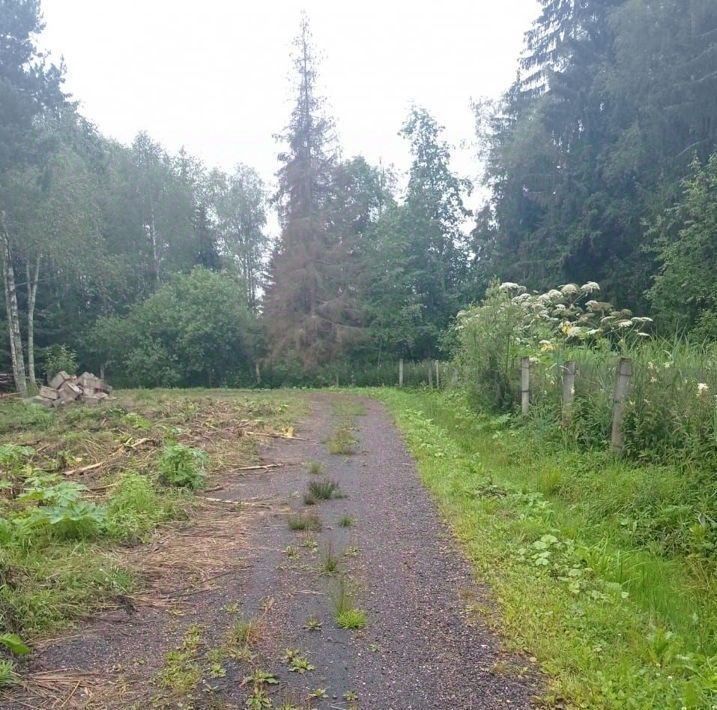 земля городской округ Истра д Деньково снт Квант фото 1