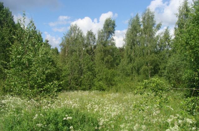 Селезнёвское сельское поселение, садовые участки фото