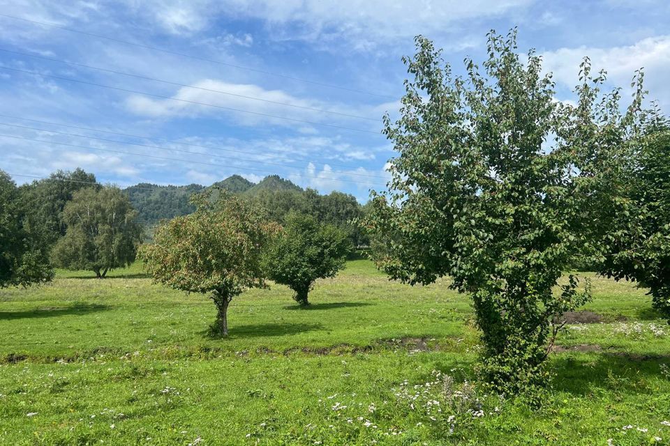 земля р-н Чемальский село Аюла фото 2
