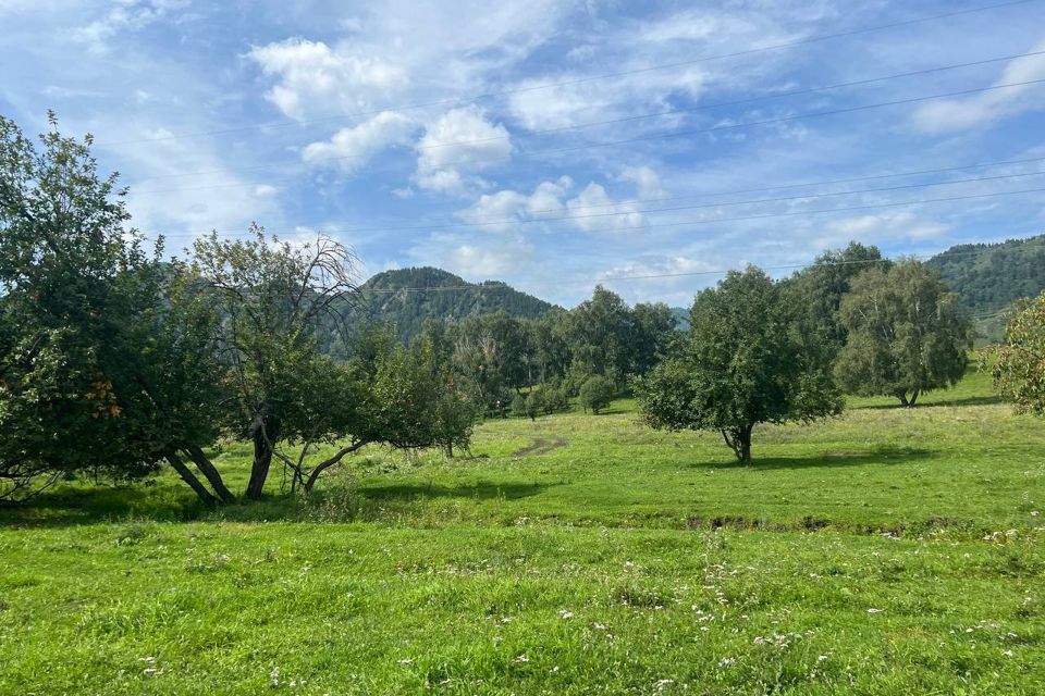 земля р-н Чемальский село Аюла фото 3