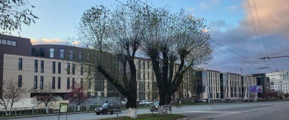 торговое помещение г Владимир р-н Октябрьский ул Горького 29 фото 3