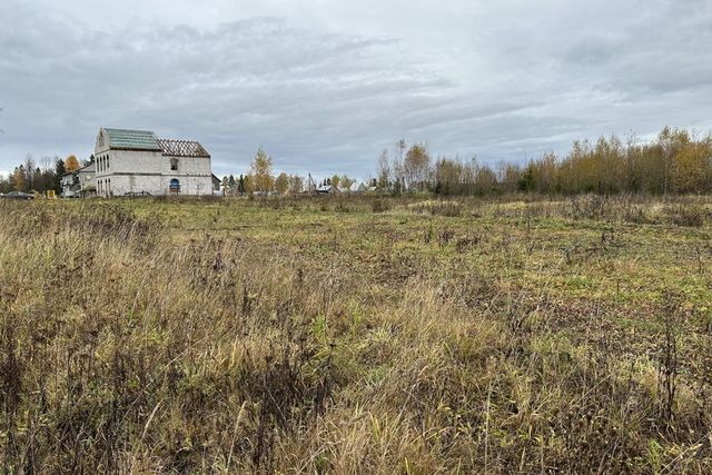 село Большое Кузьминское фото