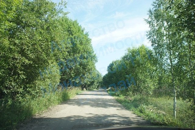 земля р-н Пошехонский деревня Овинчищево фото 3