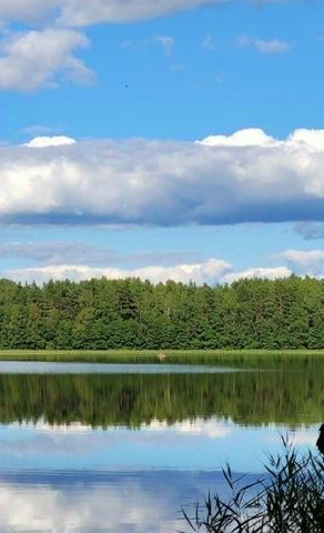 земля г Западная Двина фото