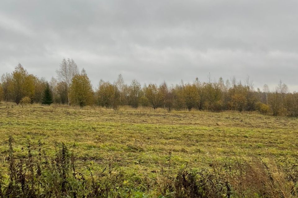 земля городской округ Переславль-Залесский, деревня Пономарёвка фото 6