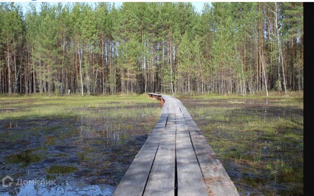 п Керженец городской округ Бор, Клубная улица фото