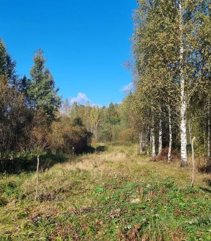 садоводческое некоммерческое товарищество Улыбино фото