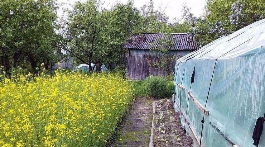 дом г Брянск р-н Советский садоводческое объединение, 6, Строитель-3 фото 7