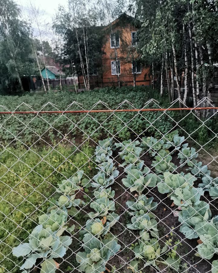 земля городской округ Мытищи п Свиноедово ул Дачная с 19, Мытищи фото 7