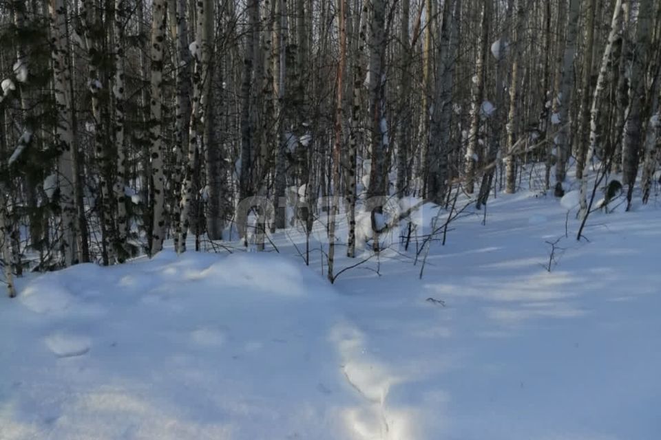 земля г Ханты-Мансийск садово-огородническое товарищество УПТВСи ИС-2, городской округ Ханты-Мансийск фото 1