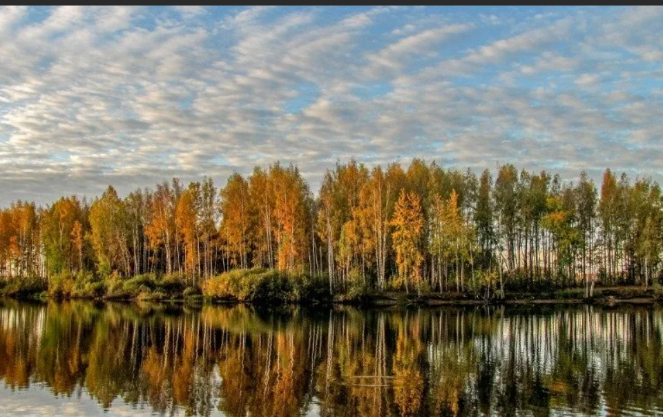 земля р-н Ивановский деревня Баглаево фото 2