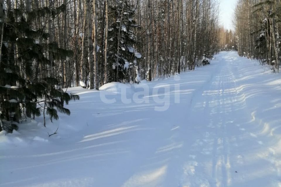 земля г Ханты-Мансийск садово-огородническое товарищество УПТВСи ИС-2, городской округ Ханты-Мансийск фото 6