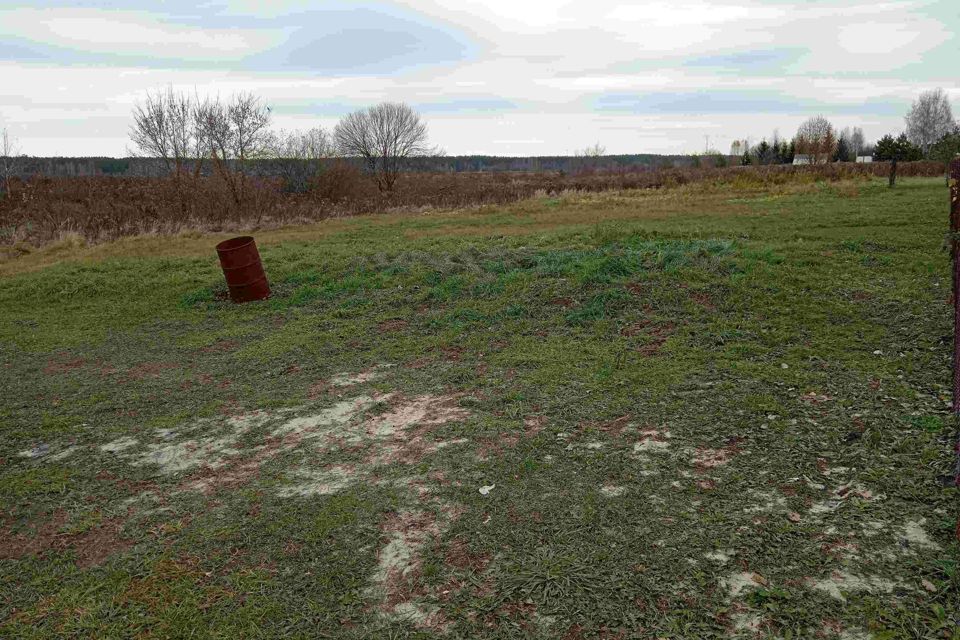 земля р-н Шарангский д Зыково городской округ Бор, 46 фото 10