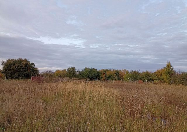 снт Русское поле Пашковский сельсовет, 440, Курск фото