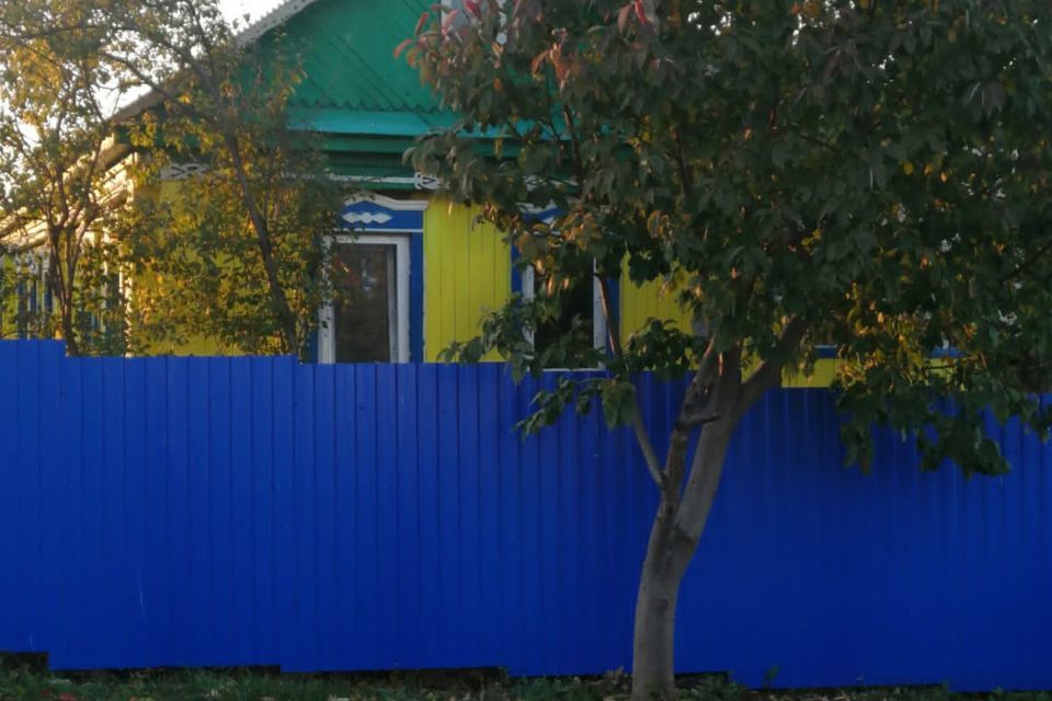 дом р-н Аургазинский с Толбазы ул Гагарина 4 фото 1