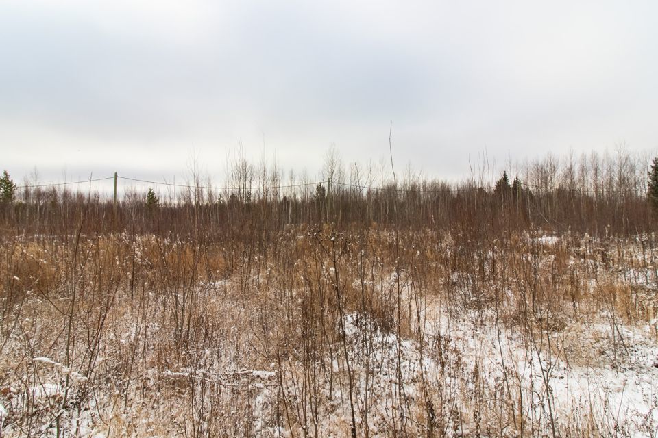 земля г Ханты-Мансийск садово-огородническое товарищество Учитель-3, городской округ Ханты-Мансийск фото 3