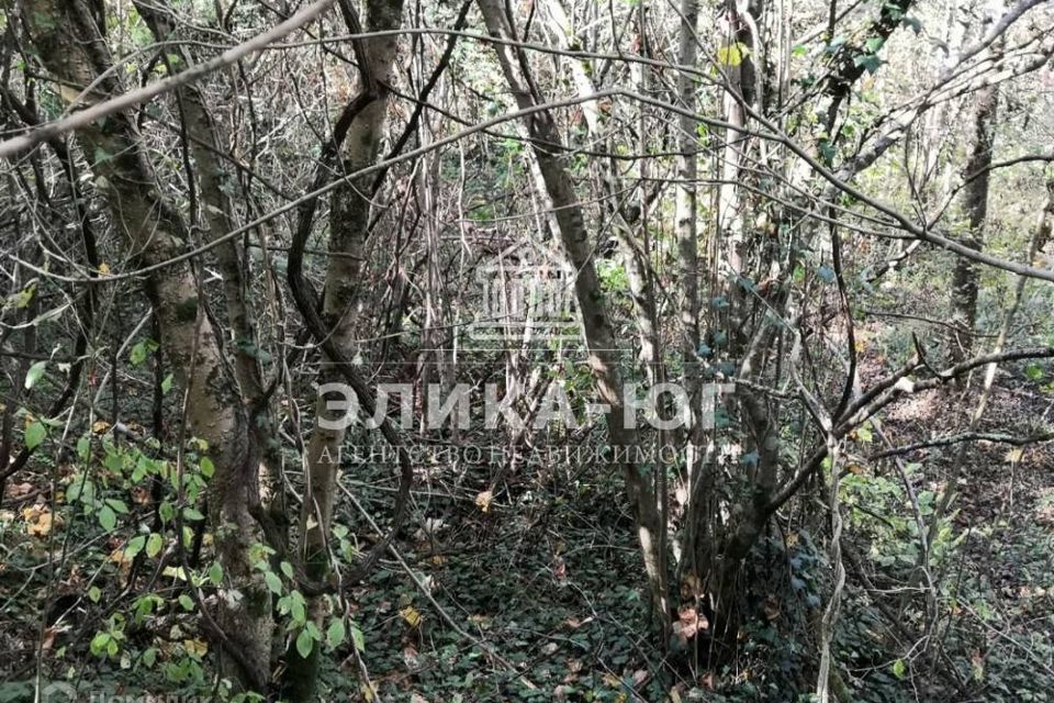 земля р-н Курганинский г Курганинск снт Дружба ул Лесная фото 10