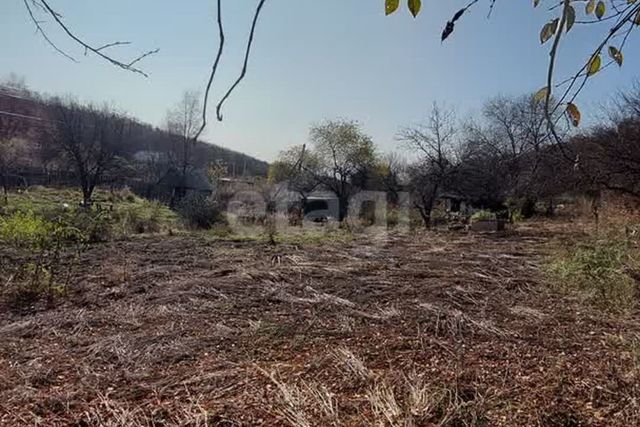 земля городской округ Благовещенск фото