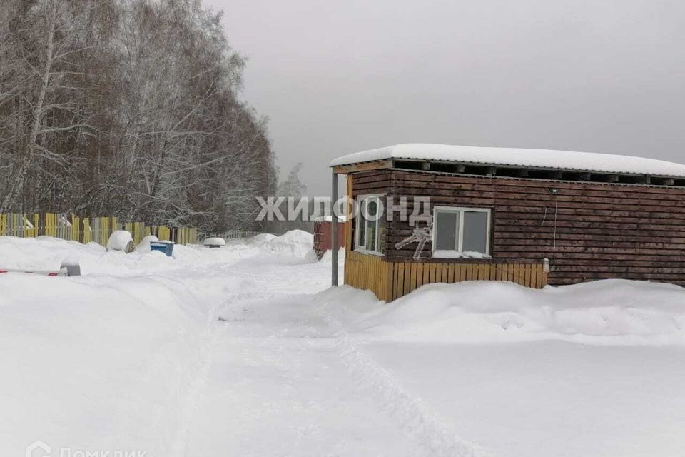 земля р-н Новосибирский село Плотниково фото 3