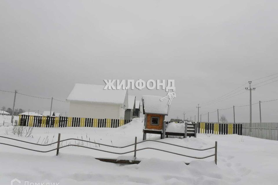 земля р-н Новосибирский село Плотниково фото 7