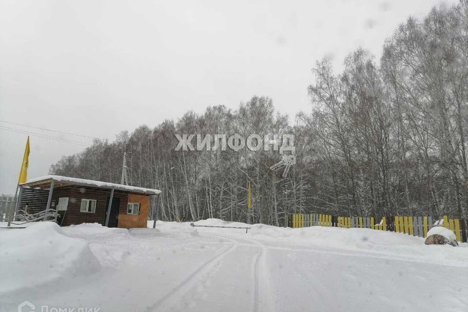 земля р-н Новосибирский село Плотниково фото 5