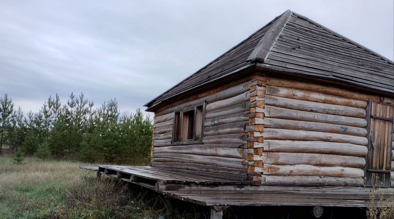 земля р-н Альшеевский с Раевский ул Тукая 90 фото 3