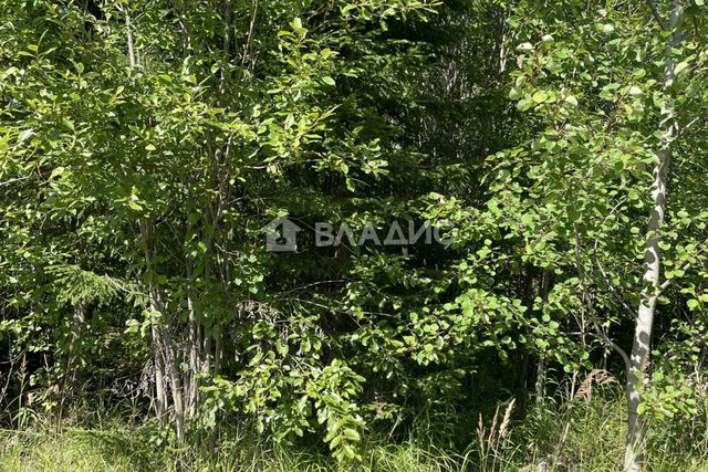 городской округ Сыктывкар, территория Эжвинский, СНТ Исток фото