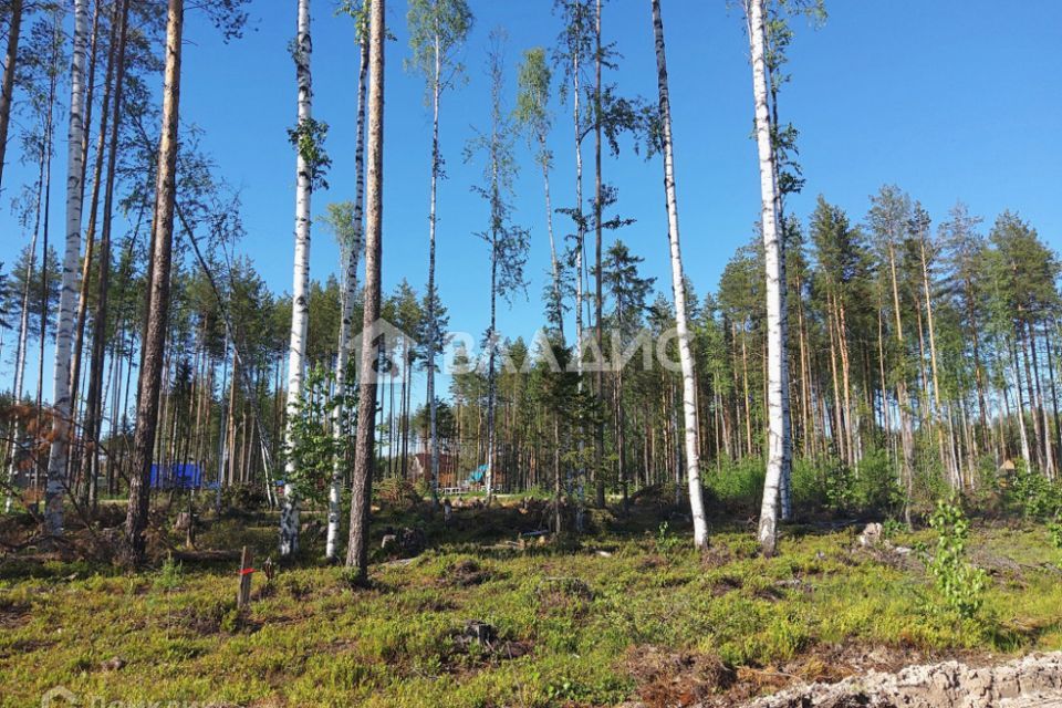 земля г Сыктывкар пгт Краснозатонский ул Заречная городской округ Сыктывкар фото 2