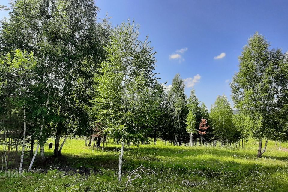 земля городской округ Дивногорск, садоводческое некоммерческое товарищество Ромашка фото 2