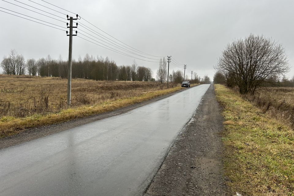 земля р-н Александровский деревня Недюревка фото 7