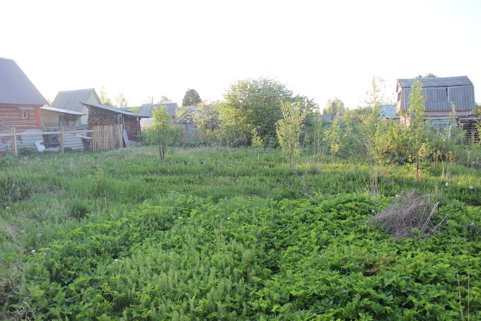 земля городской округ Сыктывкар, территория Дырносский, СНТ Вычегда фото 3