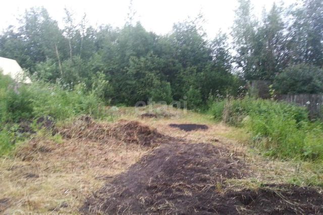 городской округ Сургут, садовое товарищество Энергетик-2 фото