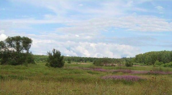 земля р-н Переславский с Купань Переславль-Залесский городской округ фото 1