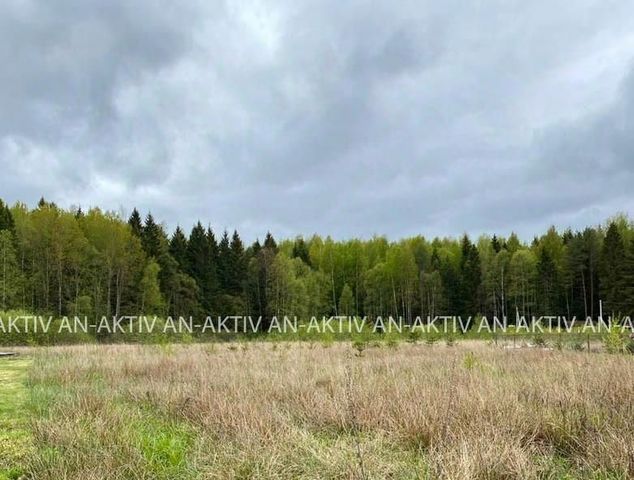 земля Переславль-Залесский городской округ фото