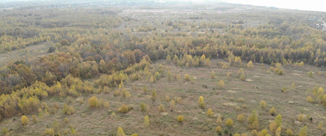 земля г Переславль-Залесский Плещеевская Панорама кп фото 3