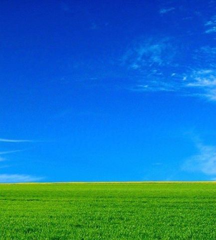 земля с пос, Ильинское фото